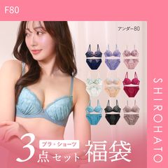 【SHIROHATO公式】【正規品・新品】ブラジャー ショーツ 3点セット 福袋 選べる5タイプ おまかせ 刺繍レース おしゃれ シンプル B80 C80 D80 E80 F80(F80)