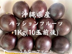 沖縄県産 パッションフルーツ 1Kg(10玉前後)