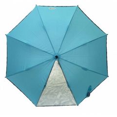 Item thumbnail for item 4016586e-8e6d-4c33-bc90-8cd972f02a99