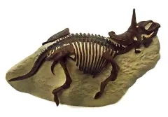 【中古】フィギュア GK008 トリケラトプス・ホリッドス 「国立科学博物館監修シリーズ 科博所蔵品再現モデル」のサムネイル