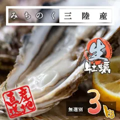 生食OK 三陸産 殻付き 生牡蠣 3kg 今季初出し 希少 数量限定 新鮮 宮城 石巻 鉄分 ミネラル豊富 希少 カキ バーベキュー 貝 魚介類 かき 贈答 パーティ 刺身 焼く 蒸す 揚げ 漬け カキフライ 鍋 栄養 誕生日 プレゼント 海の幸 贈り物 逸品のサムネイル