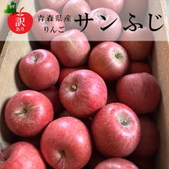 【新物訳あり】青森県産りんご（サンふじ）9玉（サイズ混合）　2Kg以上のサムネイル