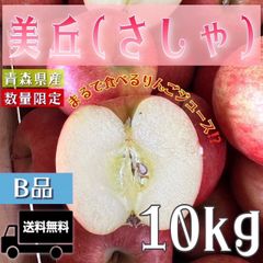 青森県産 ＂ 美丘(みおか)＂ りんご【ご家庭用B品10kg】【送料無料】【産地直送】リンゴ 林檎