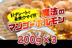 魔法のマンゴーホルモン600g(200g×3)  【送料無料】BBQ/焼肉
