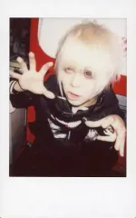 2026年最新】シェルミィ 豹の人気アイテム - メルカリ