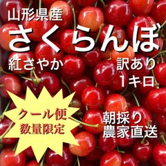 訳あり　さくらんぼ❤️猛暑の為クール便‼️込み 只今お届け中 さくらんぼ 佐藤錦 700g 自宅用 訳あり お得用 ご