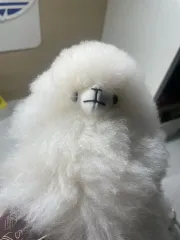 INKARI アルパカ ぬいぐるみ
