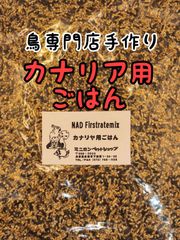 Item thumbnail for item 3e2a0040-36c5-43a9-b708-99dc88f96b1f