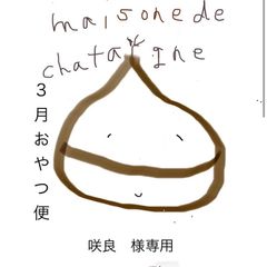 咲良様専用　おやつ便　シフォンケーキサンド　チーズケーキ　テリーヌ