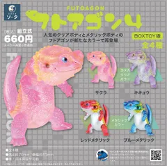 フトアゴン　レアカラー フトアゴン ヤマシロヤオリジナルカラー | ヤマシロヤ（Yamashiroya）