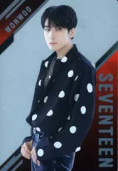 【中古】食玩 ステッカー・シール ウォヌ レアシール 「SVTツインウエハース From PLEDIS ENTERTAINMENT SEVENTEEN」