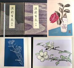 特大本 彩色 木版画 100図 絵入絵本◆淡彩百花◆全2冊揃 春夏秋冬 草花図 画譜 図譜 図案 昭和 浮世絵UKIYOE 骨董 古美術 古典籍 古文書 和本 古書#和本～江戸屋～