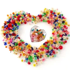【迅速発送】ドライフラワー 300個入り 押し花 ミニ 小さい 花 マルチカラー レジン用 DIY 手作り素材 色が豊富だ デコ素材 手芸クラフト ネイルペンダント