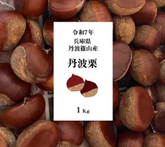 数量限定❗️「丹波栗」約１.２Kg（送料込み）令和７年兵庫県丹波篠山産