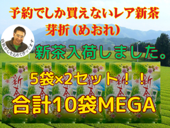 新茶入荷しました!!!全国 送料無料 健康 美味しい美味しい 新茶 母の日 八十八夜  お茶   緑茶 お茶  美味しい水出しも作れます 安くてめちゃめちゃ美味しい芽折茶　100ｇ✕10袋セット