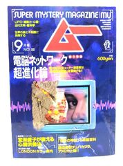 アラビアのロレンス：知恵の七柱 全3巻 東洋文庫 未使用に近い美品 アンティーク アラビアのロレンス：知恵の七柱 全3巻 東洋文庫 未使用に近
