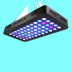 2024年最新】165w led サンゴの人気アイテム - メルカリ