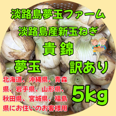 淡路島産新玉ねぎ 5kg 訳あり 貴錦 固定種 希少 極早生 高糖度 夢玉 農家直送 北海道、沖縄県、青森県、岩手県、宮城県、秋田県、山形県、福島県にお住まいのお客様用