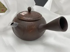 急須  玉光作 セラメッシュ 210cc