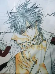 2025年最新】ヴァンパイア騎士 おやすみCDの人気アイテム - メルカリ