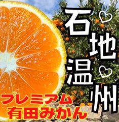 有田みかん　高級品種 5キロ