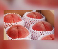☆７名様先着限定☆☆完熟訳あり☆山梨産もも４〜５玉箱☆白鳳桃☆