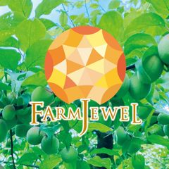 専用出品　べーしーる様　完熟南高3L.2Lサイズ　6kg 専用出品 べーしーる様 完熟南高3L.2Lサイズ 6kg 専用