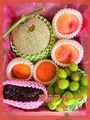 豆ちゃん様専用クール便