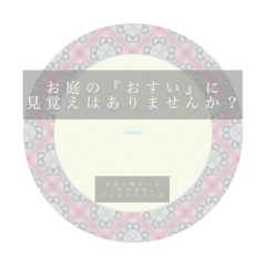 ¥1650円→ ピンク×パンジー　おすい枡・雨水枡シール　ますハナ　耐熱耐候