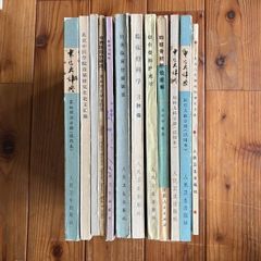 昭和当時品 三浦綾子 文庫本17冊セット 天北原野・積木の箱・氷点・続 