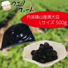 Lサイズ500g 令和4年産(2022年産) 乾燥黒豆 丹波篠山産 丹波黒大豆
