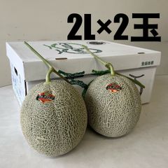 宝様専用】夕張メロン共撰品秀品2玉 1玉約2kg冷蔵×2箱 - メルカリ