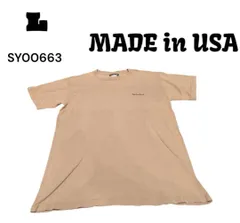 90s USA製ティンバーランド古着プリント半袖TシャツLブラウンＬ  SY00663