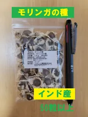 インド産モリンガ種：モリンガナッツ大粒（カーネル）200g