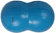 ※お値下げ　フィジオロールボール 70 楽天市場】ギムニク バランスボール フィジオロール70 70cm