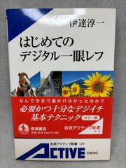 韓非子 (新書漢文大系 13) 文庫 – 2002/1/1 竹内 照夫 (著