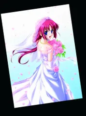 D.C.S.S.~ダ・カーポ セカンドシーズン~ DVD-BOX／名和宗則