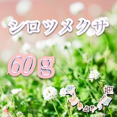 ホワイトクローバー