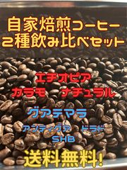 自家焙煎珈琲豆　2種飲み比べセット（50g×2個）