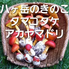 北海道産　アカヤマドリ2kg 2025年最新】アカヤマドリの人気アイテム - メルカリ