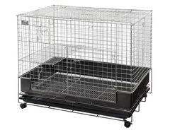 Item thumbnail for item 20b4bda5-88df-4e87-958a-272a4ac96c10