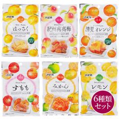 和歌山県産　ドライフルーツ6種類セット　国産　南高梅　みかん　レモン