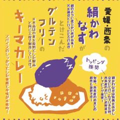 期限間近値引き中＜愛媛・西条　絹かわなすがとけ込んだグルテンフリーのキーマカレー160g×20袋＞