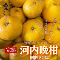 愛媛玉津産　樹齢20年限定　河内晩柑　家庭用8kg