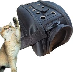 Item thumbnail for item 849d73e2-afb7-42fb-8817-e02728514b42