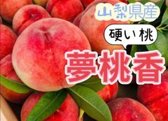 クール便発送‼️山梨県産　夢桃香　硬いモモ　もも　桃　60サイズ箱満杯