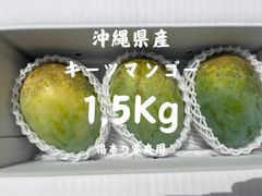 タイムSALE沖縄マンゴー1Kg(2-3玉)クール便発送 - メルカリ