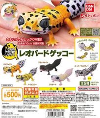 単品販売♯レオパードゲッコー　いきもの大図鑑ラプティ　ガチャガチャ　可動型