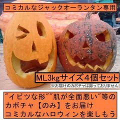 【訳アリ】ハロウィン コミカルなジャックオーランタン用かぼちゃ 4個１箱 МL3kgサイズ カボチャ専門農家農場直送