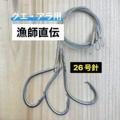 2025年最新】クエ 釣り 仕掛けの人気アイテム - メルカリ